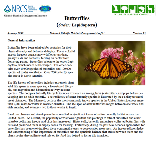 Butterfly Habitat Management