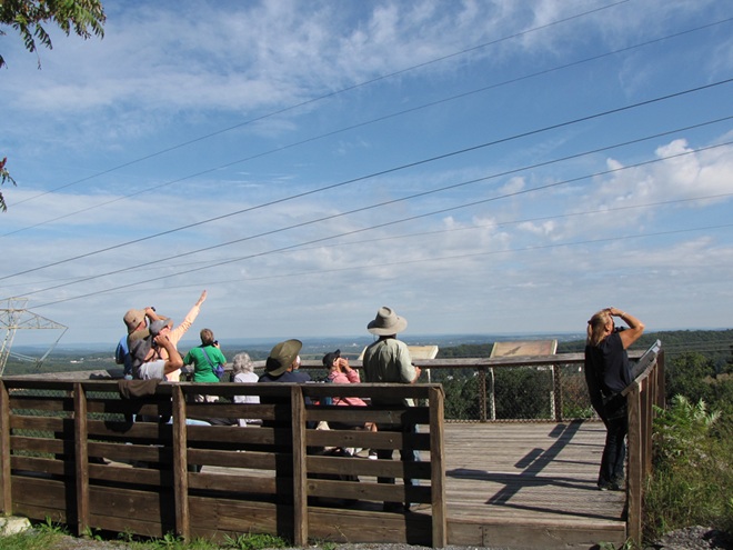 Counting Broad-winged Hawks Counting Broad-winged Hawks