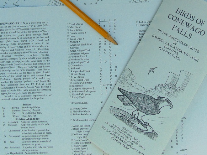 Checklist of the Birds of Conewago Falls on the Susquehanna River thumbnail.