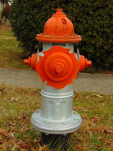 Class B orange-top fire hydrant.