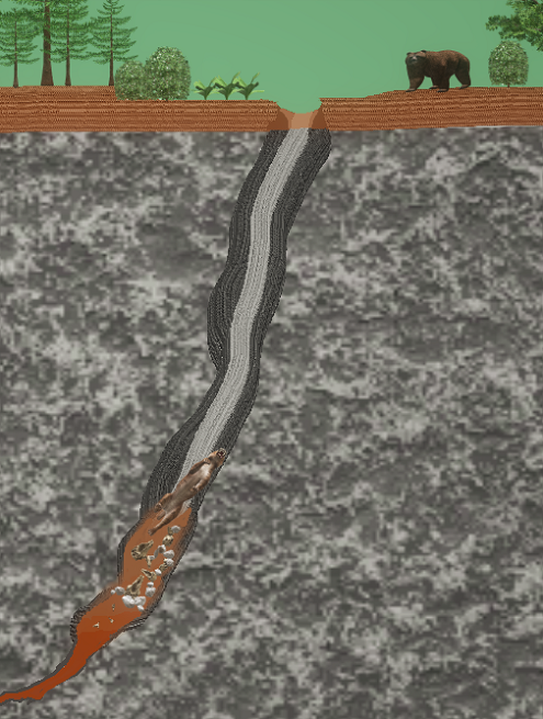 Cross-section View of a Middle Pleistocene Bone Cave