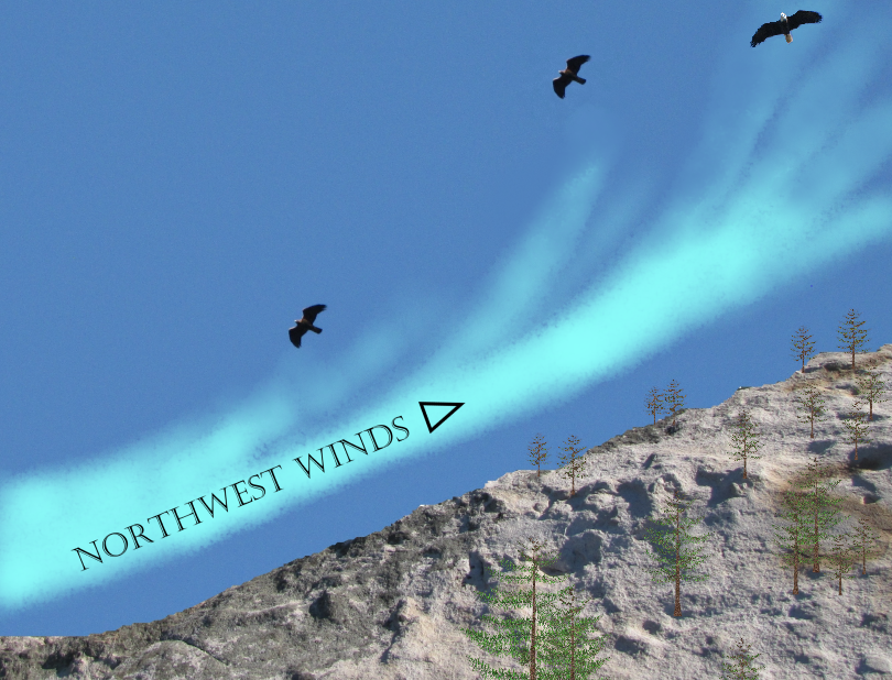 Eagles gliding and soaring on wind-generated updrafts along the slopes of ridges.