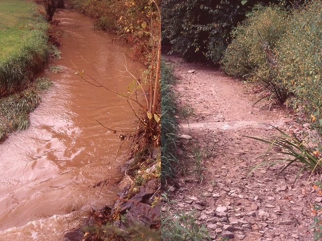 Flooding and Desiccation of Impaired Stream